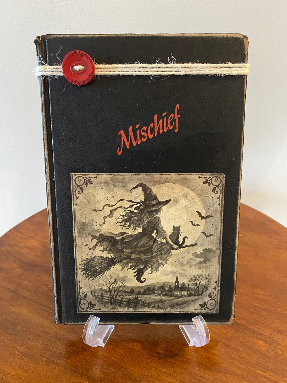 Book - Mischief