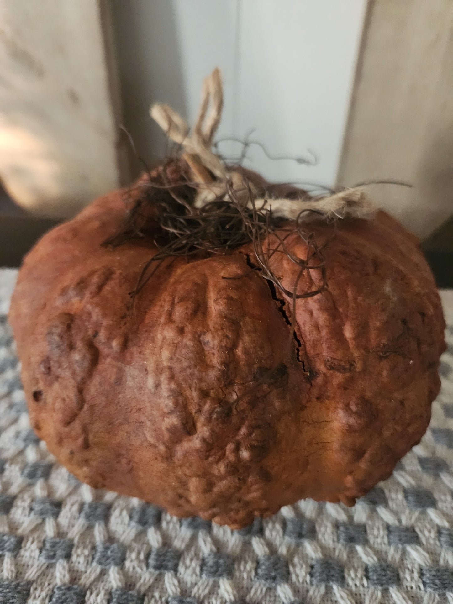 Primitive gourd