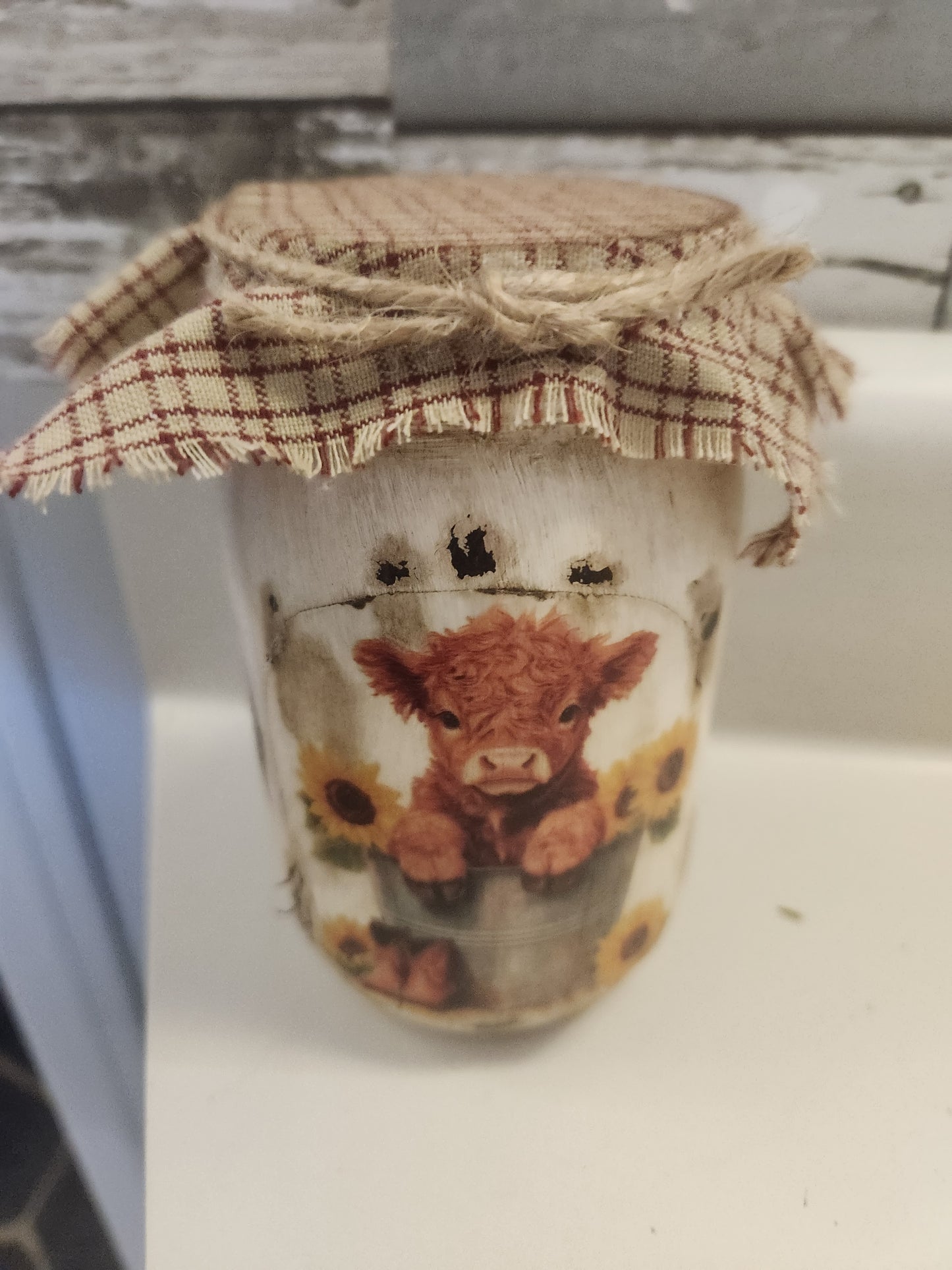 Highland cow in washtub