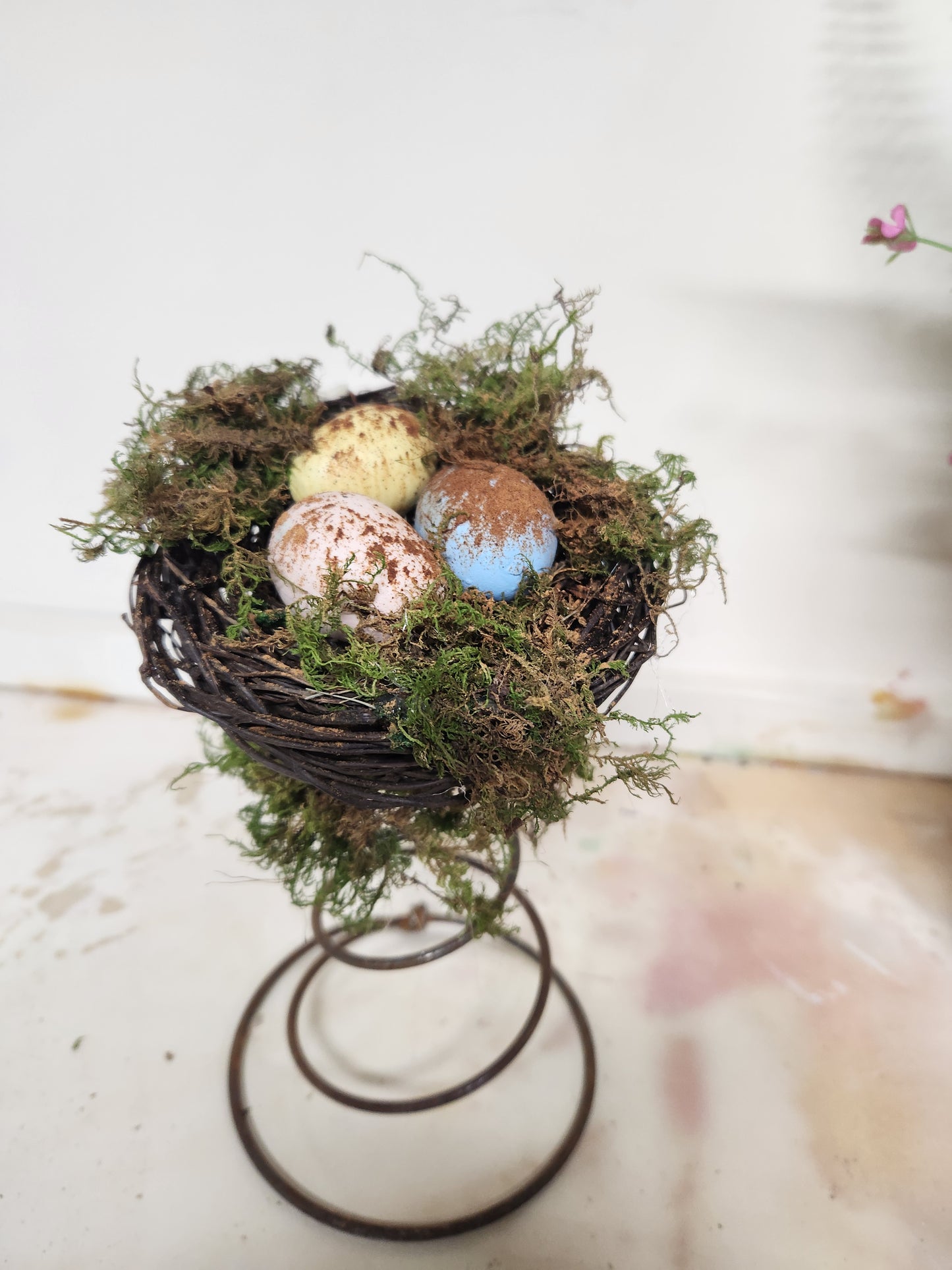 Birds nest on vintage spring