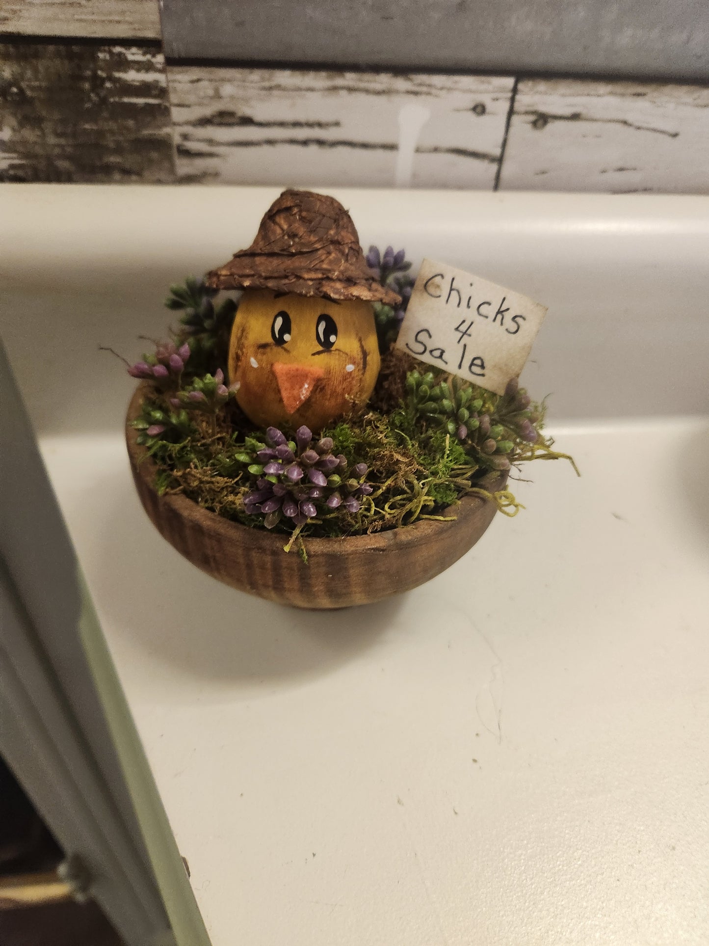 Chick in old wood bowl