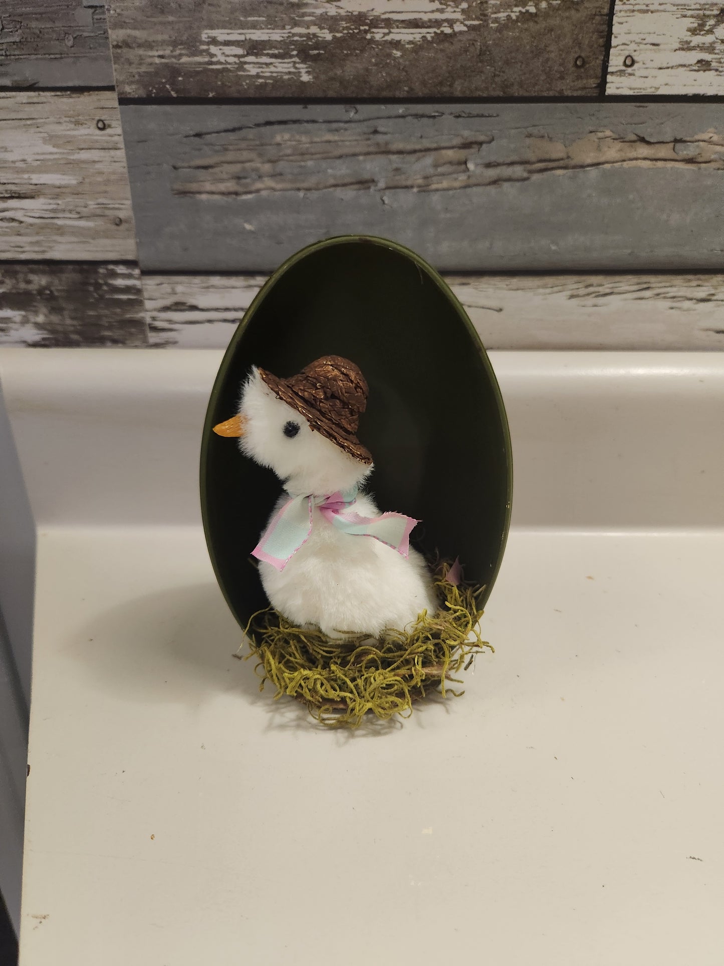 Goose in egg