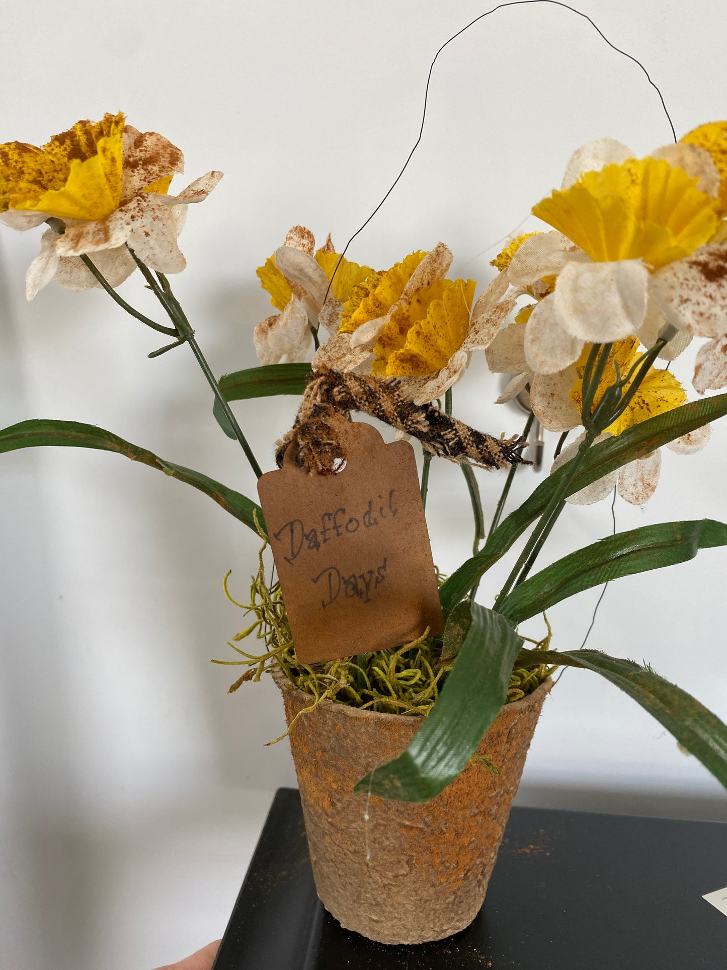 Daffodil Days Pot