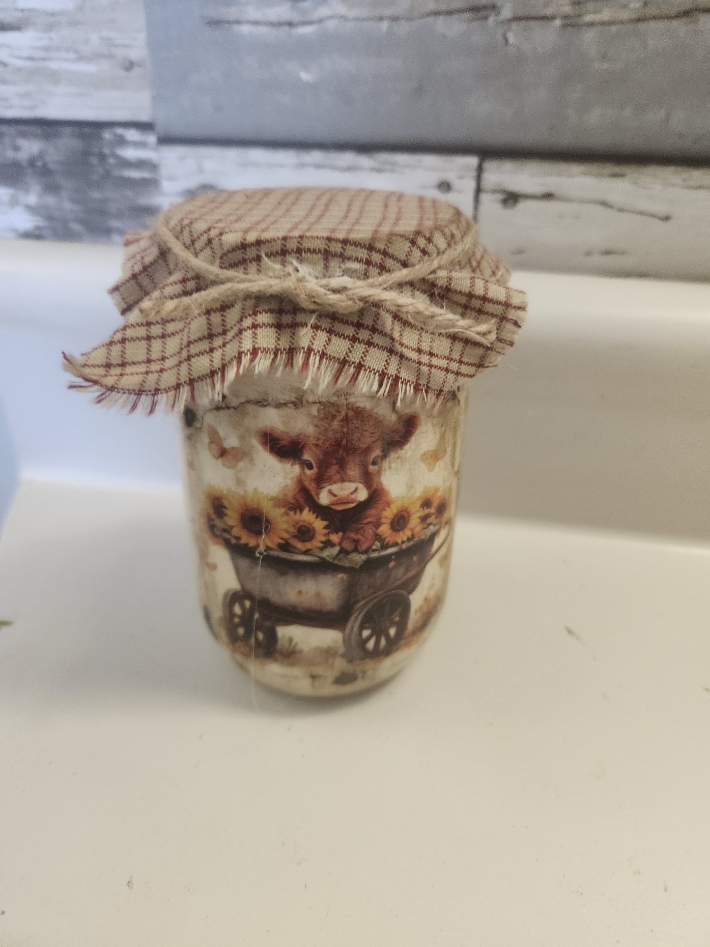 Highland cow in wagon jar