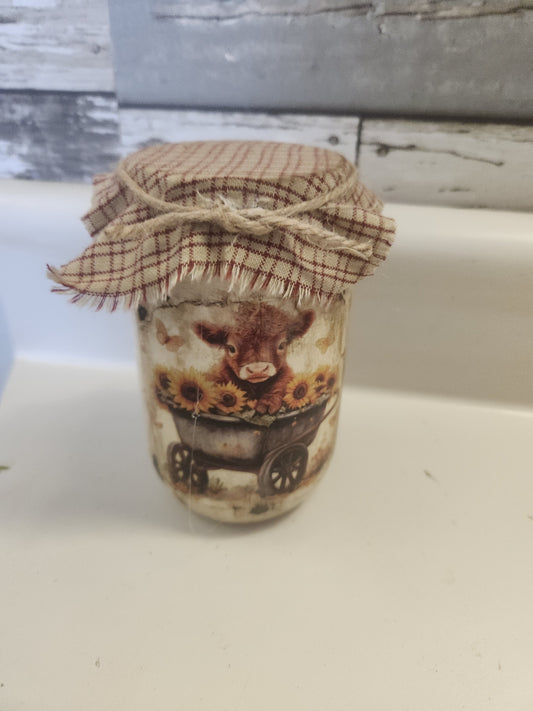 Highland cow in wagon jar