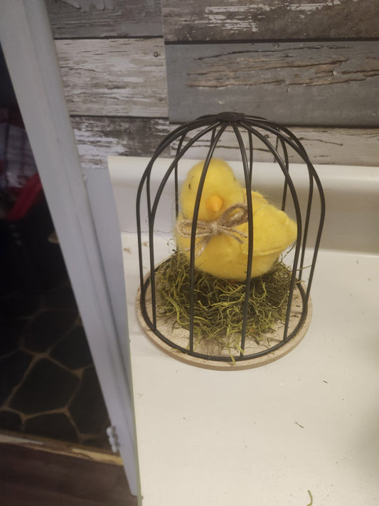 Chick in bitd cage