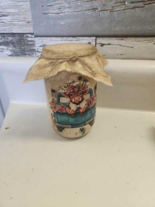 Highland cow in truck jar