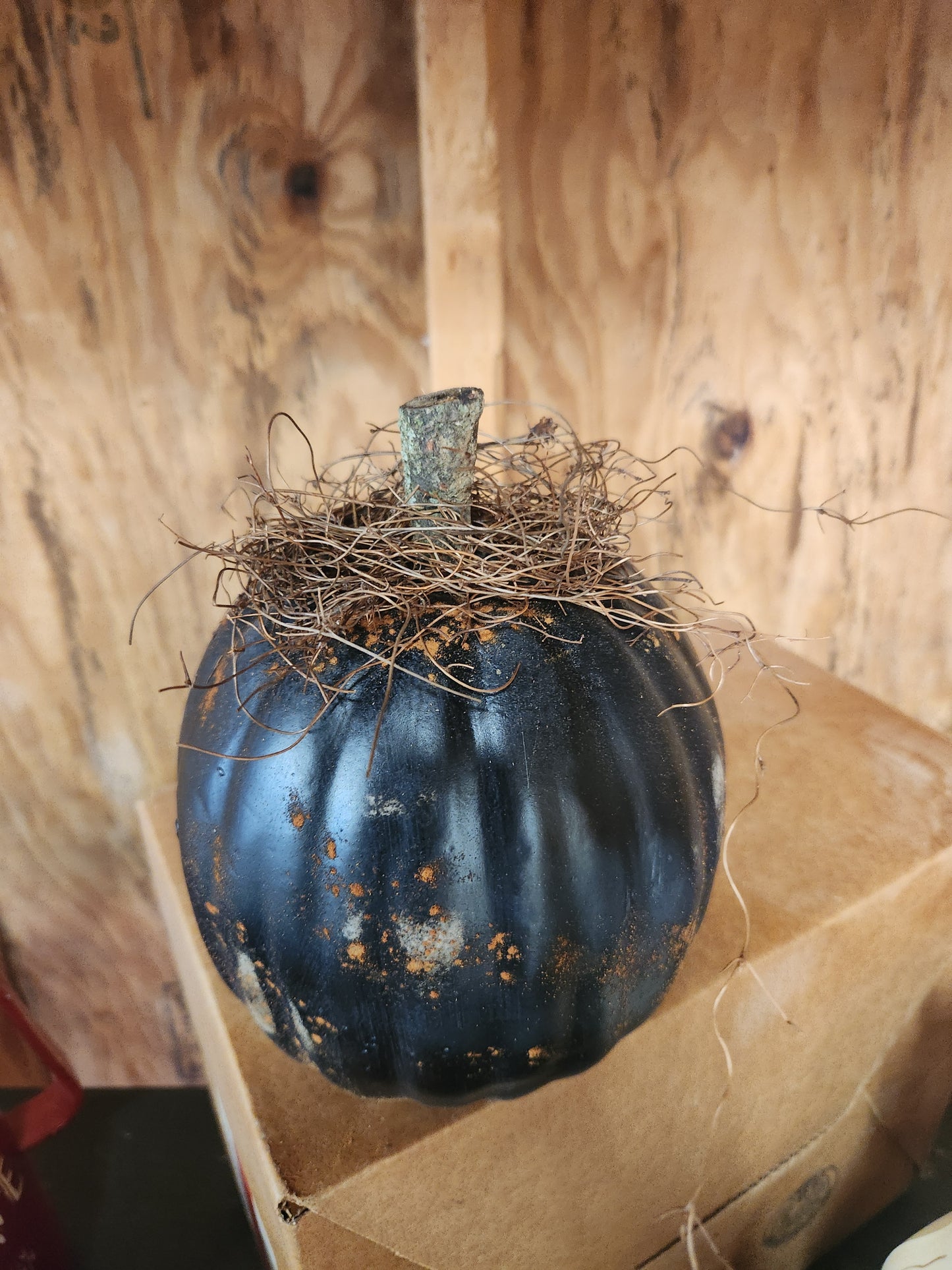Black rustic pumpkin