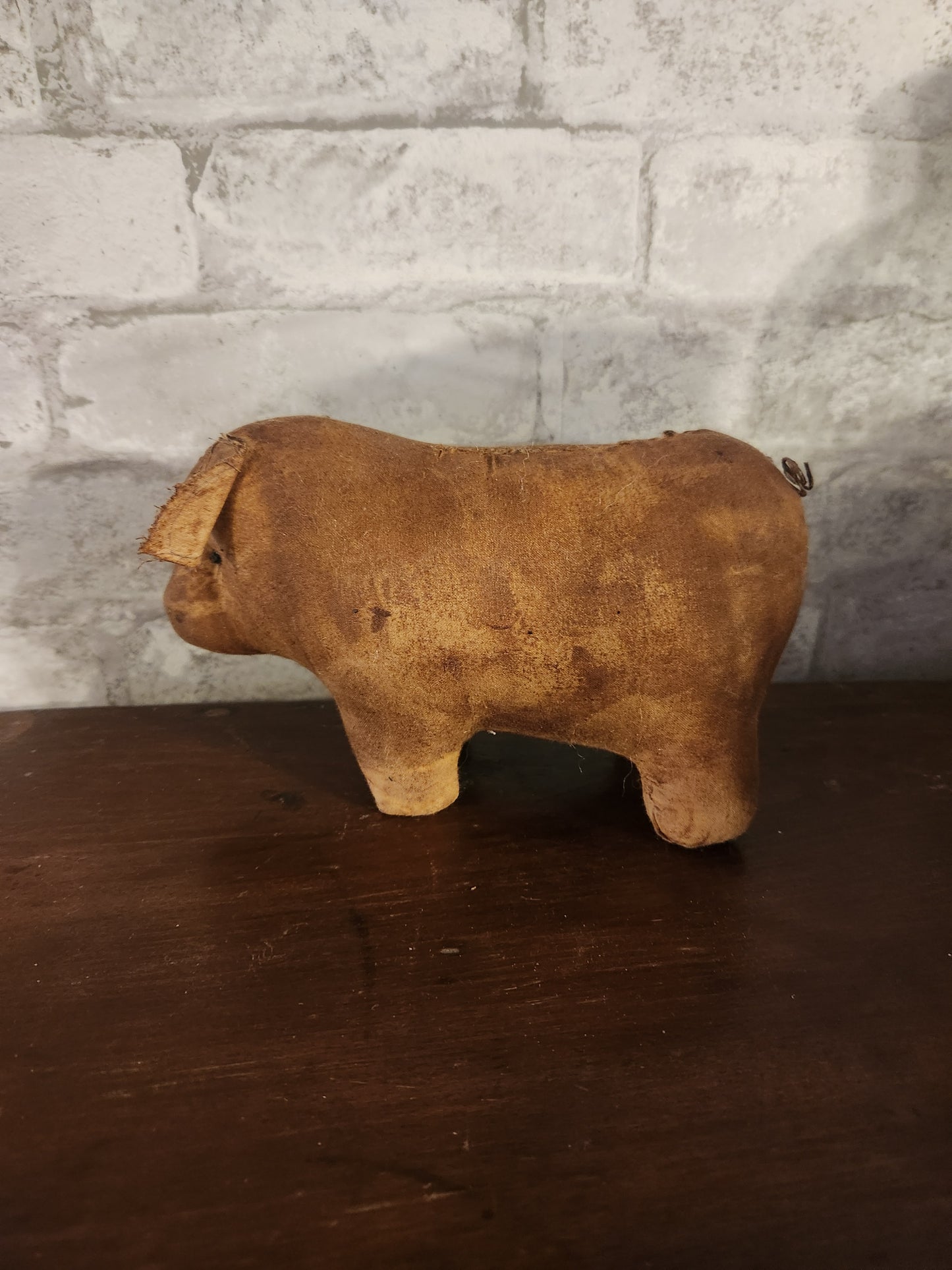 Primitive pig