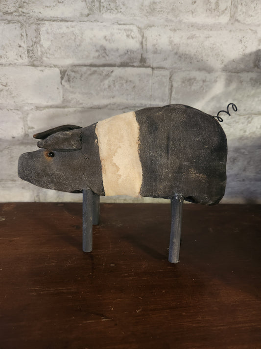 Black and ivory pig