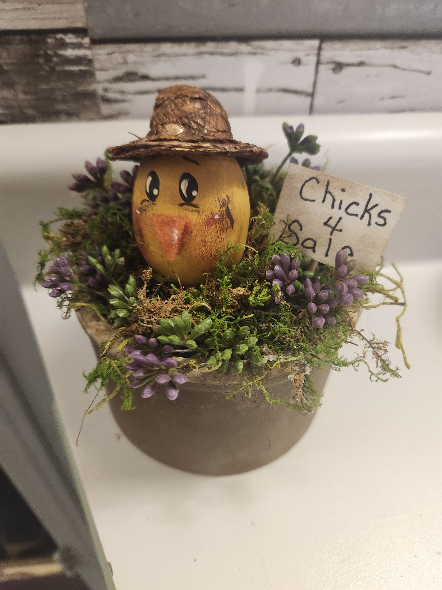 Chick in old crock