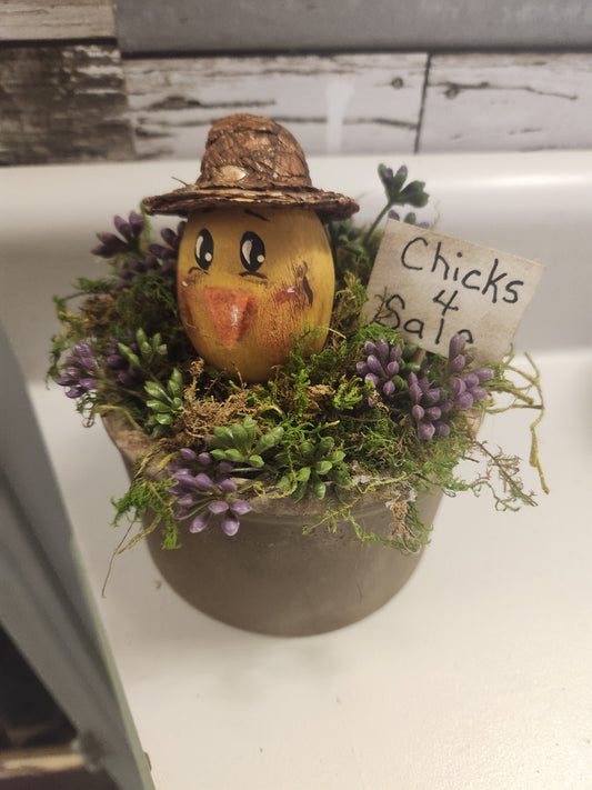 Chick in old crock