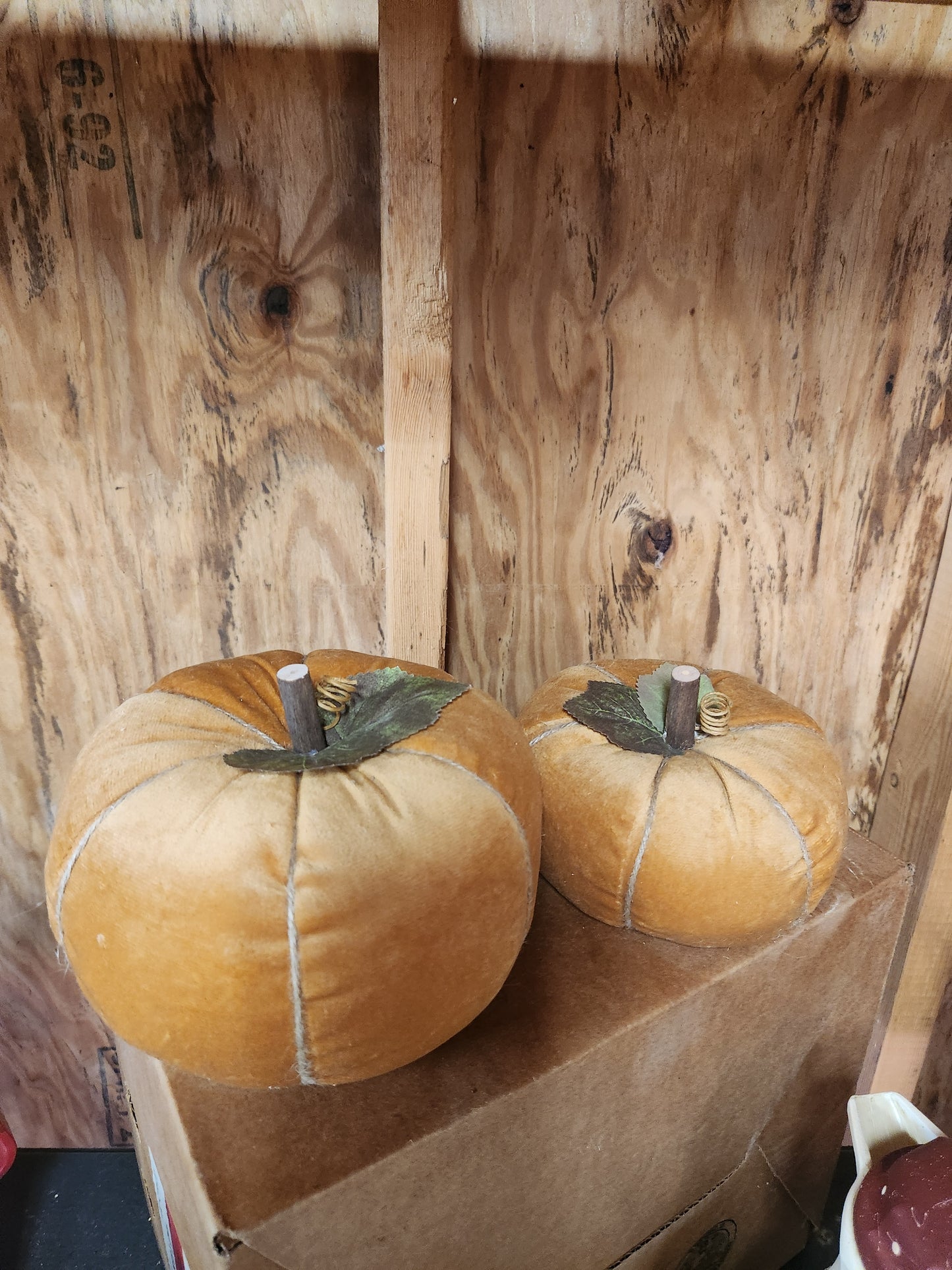 Set of pumpkins