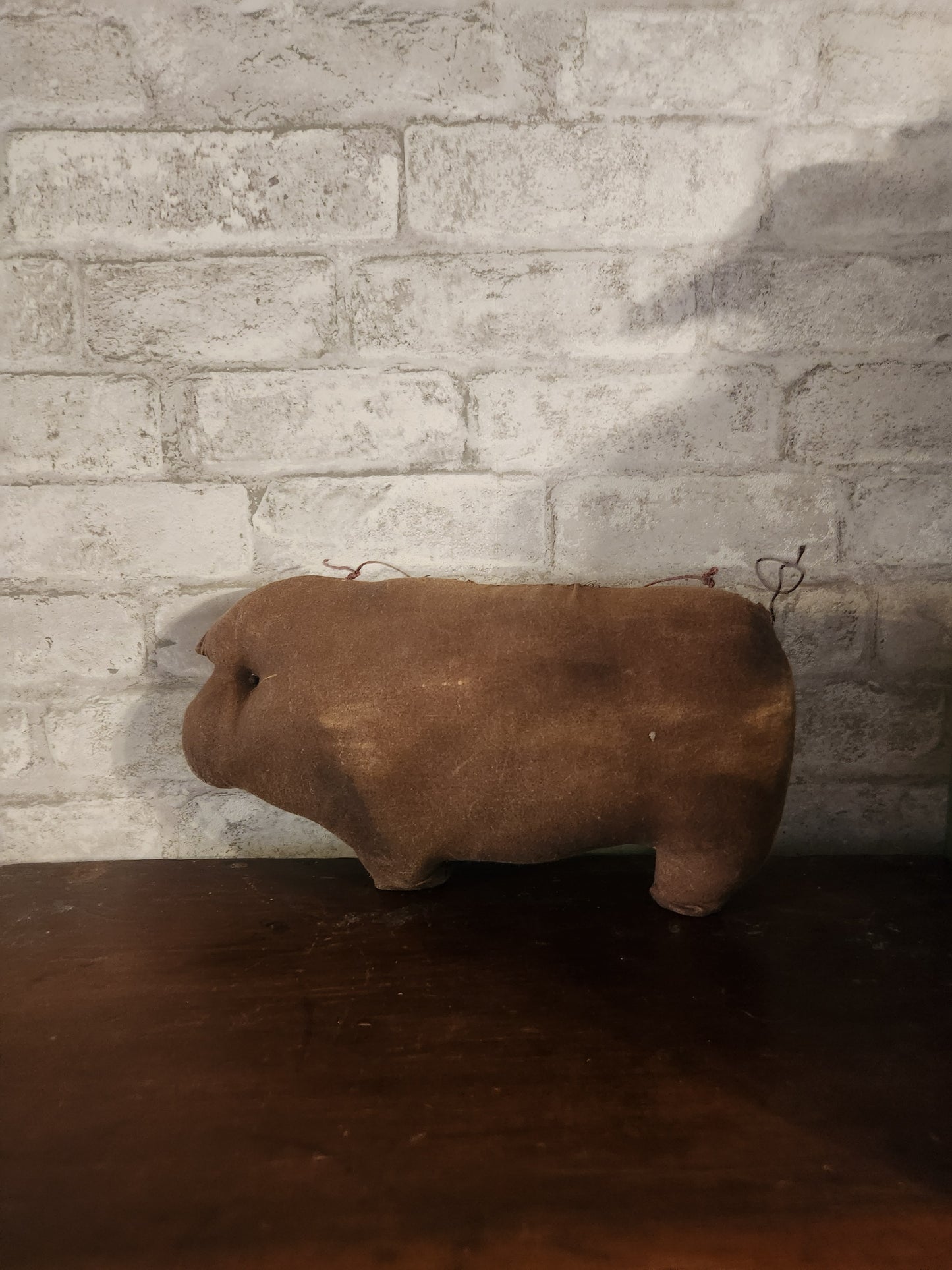 Large primitive pig