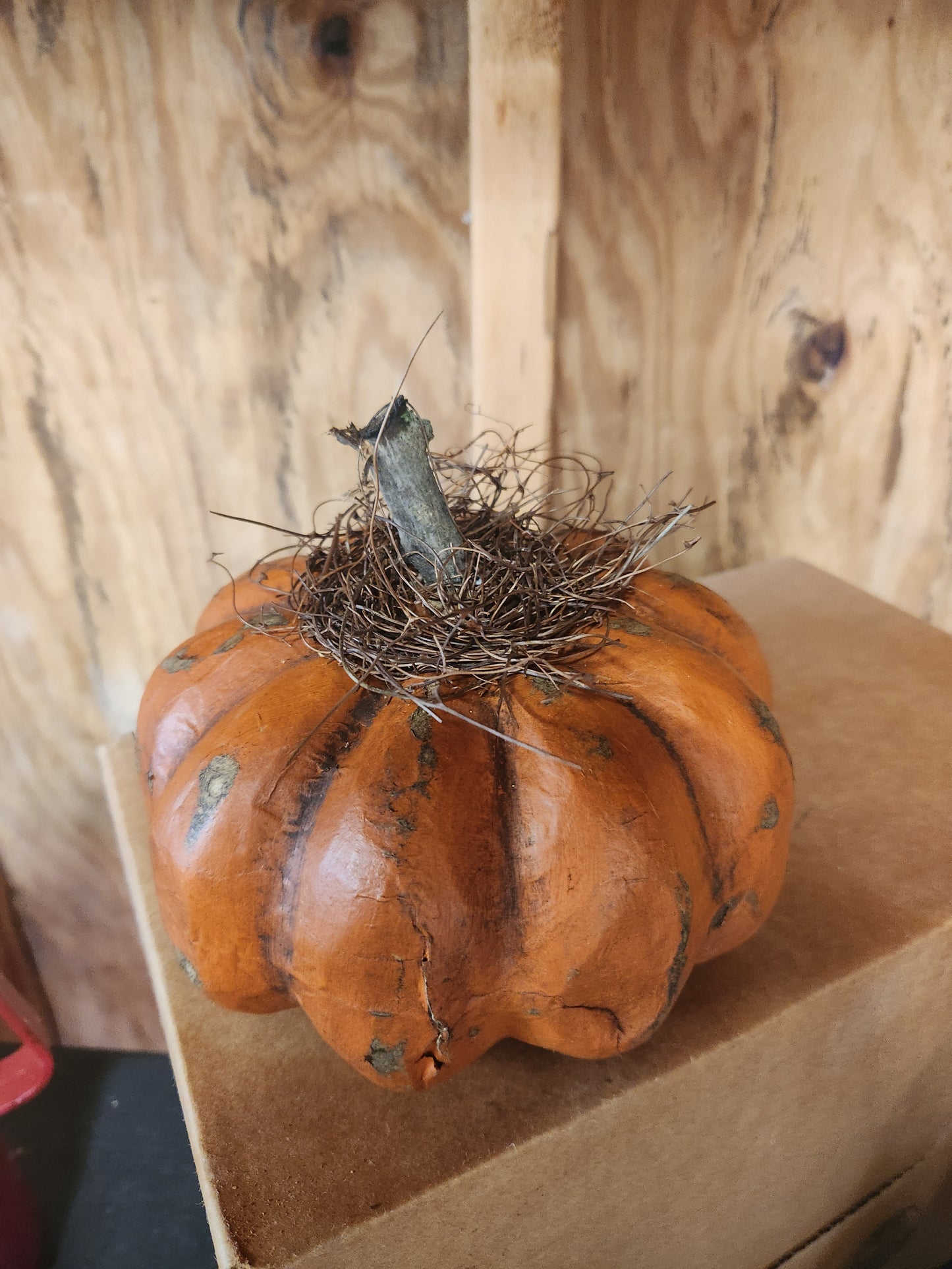 Orange pumpkin