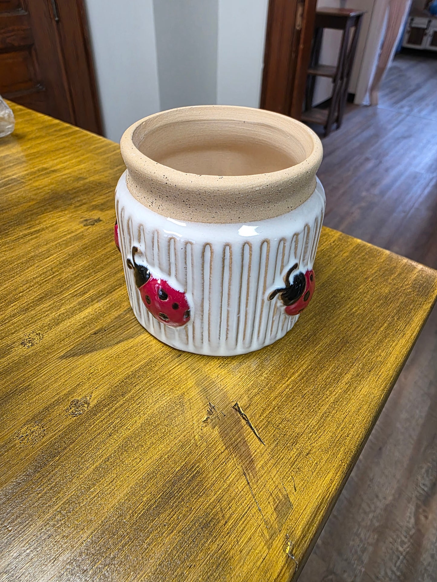 Ladybug planter